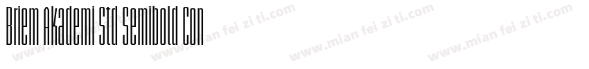 Briem Akademi Std Semibold Cond字体转换